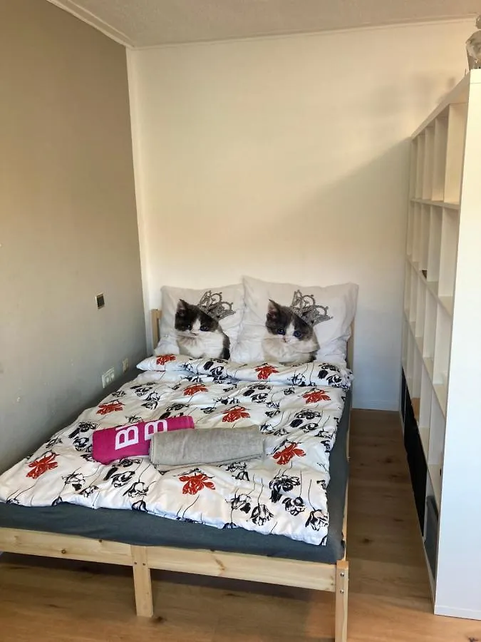 Apartment Privatzimmer In Muenchen Zentrum